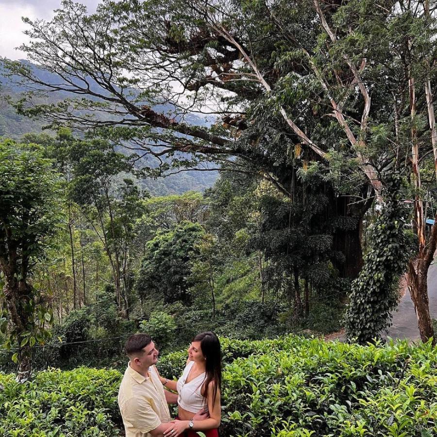 Tea Cottage Resort & Spa Nawalapitiya Exterior foto